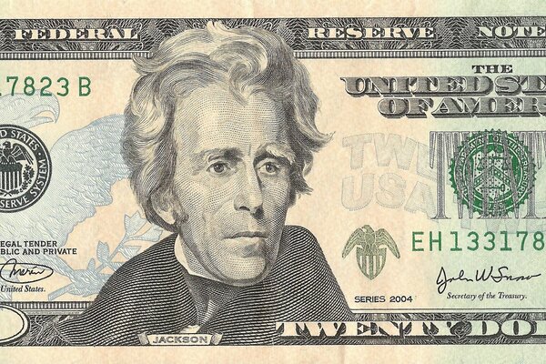 Twenty United States dollars