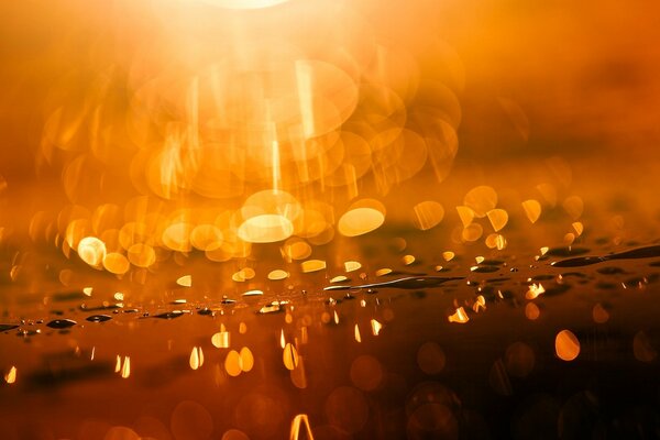 Gouttes d eau brillent dans la lumière