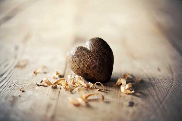 Coeur en bois se trouve parmi la sciure de bois sur l arbre