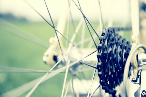 Detailed photo of a bicycle wheel