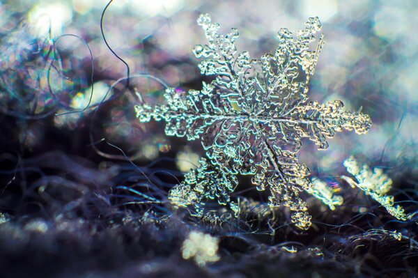 Schneeflocke Makro auf Hintergrund Blendung