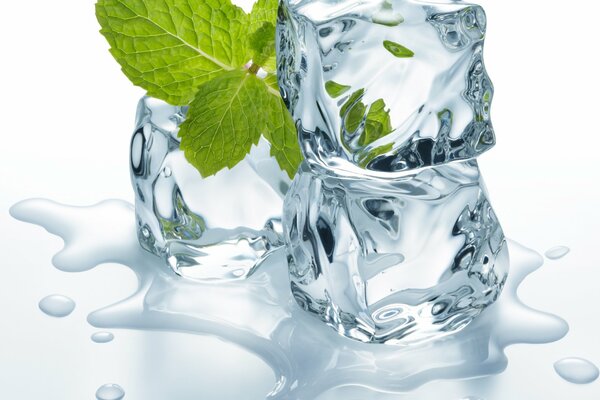 Cubes of melting ice and mint lying on them