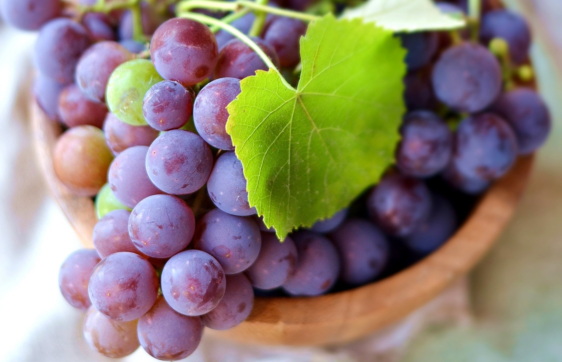 trauben beeren trauben blätter grün makro