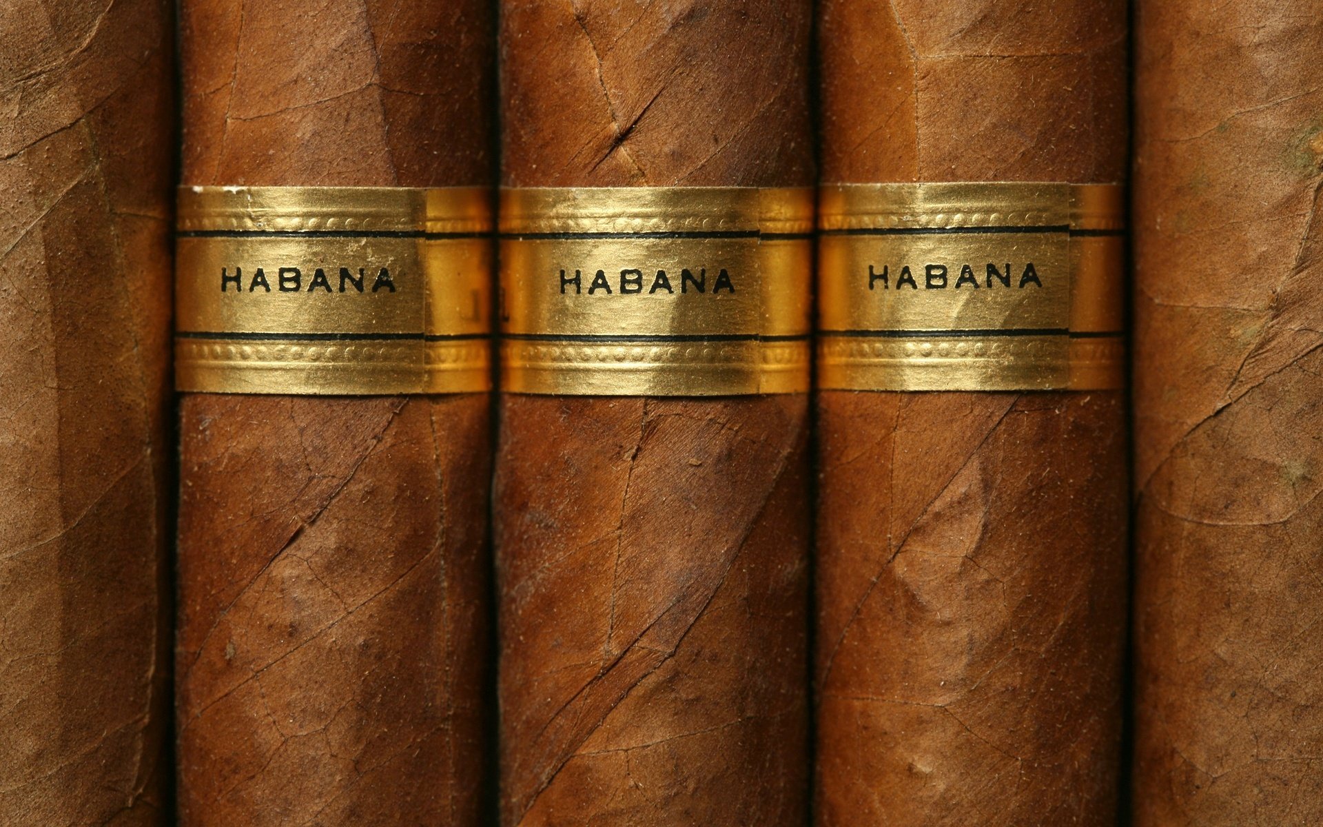 cuban cigars gold label brown