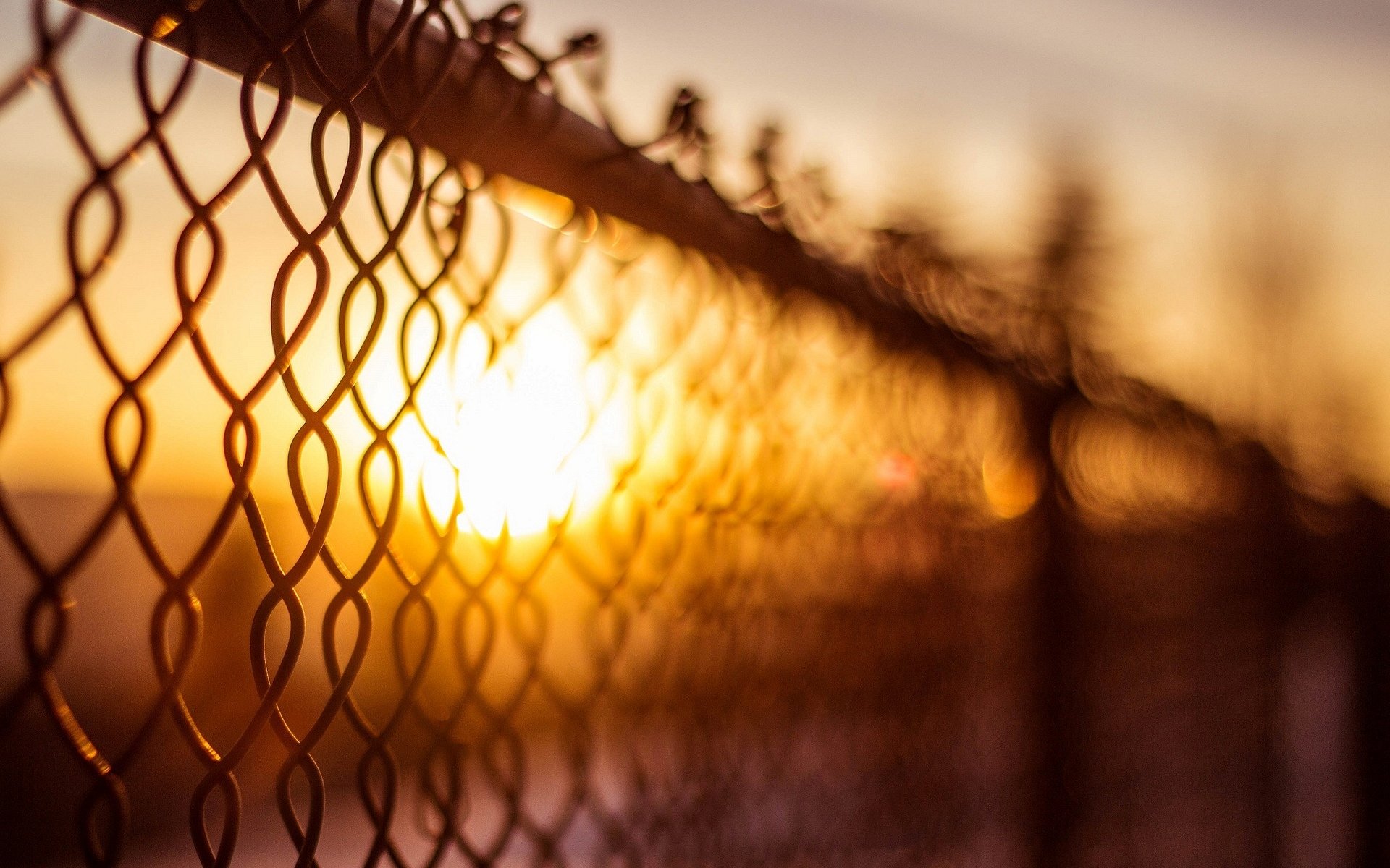 makro siatka ogrodzenie ogrodzenie ogrodzenie słońce rozmycie bokeh dzień tło tapeta panoramiczny pełny ekran panoramiczny panoramiczny