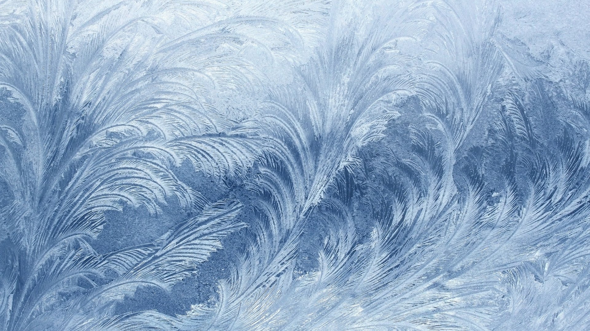 fondo papel pintado año nuevo macro invierno hielo patrón de vidrio escarcha frío ventana