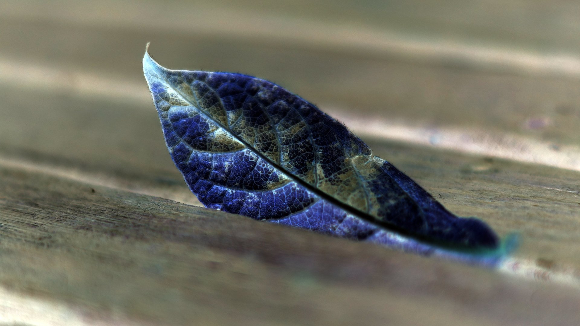 heet blue pieces of wood board surface