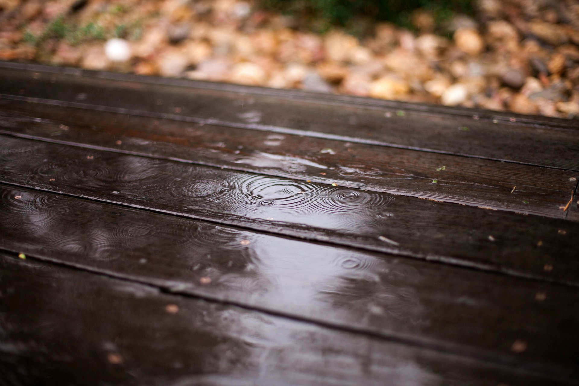 tablas madera gotas lluvia hojas desenfoque otoño