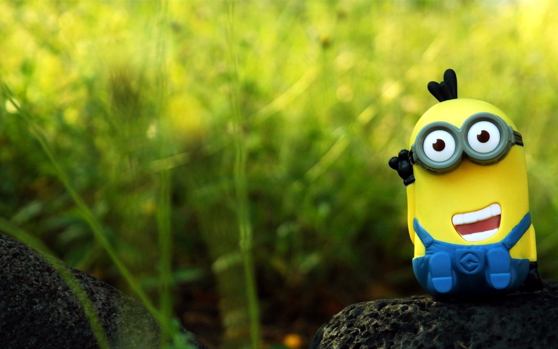 minion figura giocattolo natura ricreazione saluto positivo sfocatura bokeh macro carta da parati