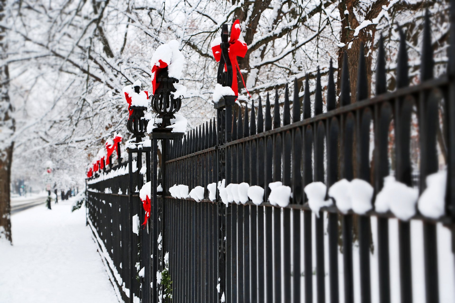 valla metal barras valla arcos arcos rojo vacaciones invierno árboles ramas nieve naturaleza