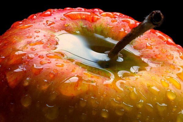 Red apple in drops of water