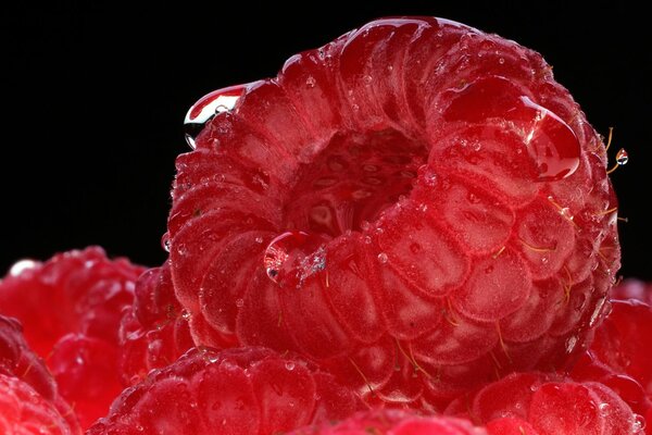 Juicy raspberries close-up