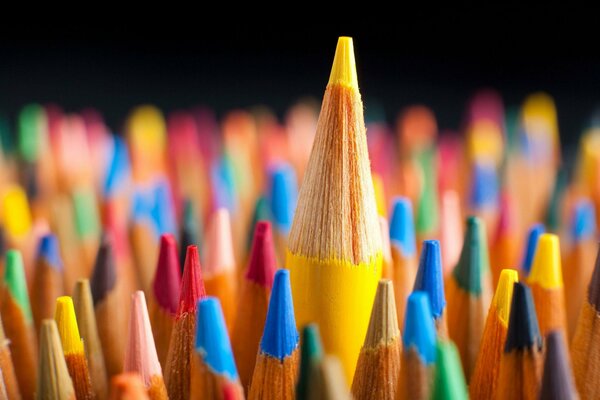 Multicolored pencils in macro photography