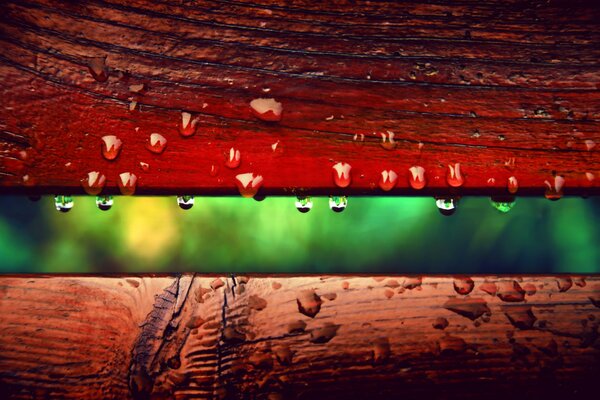 Raindrops during macro photography on the board