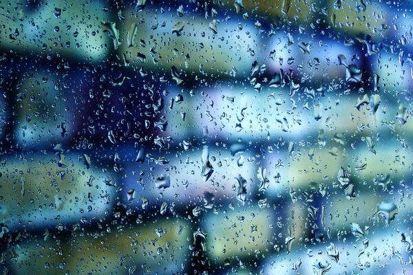 Мокро дождь стекло кирпичи