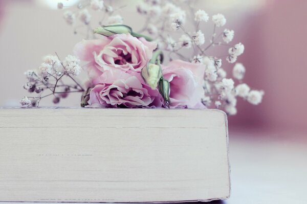 Delicate pink roses on the book