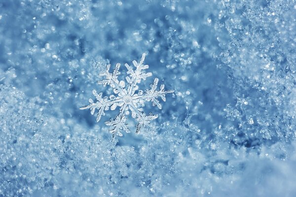 Sehr schöne Schneeflocke im frostigen Winter