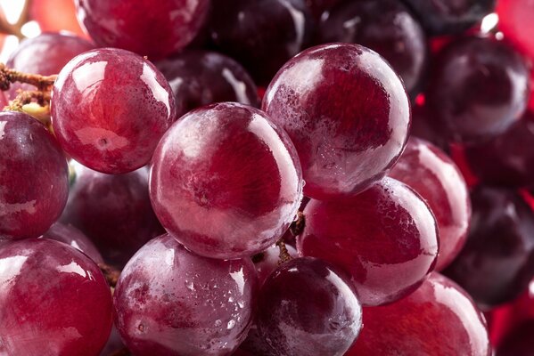 Kiść czerwonych soczystych winogron