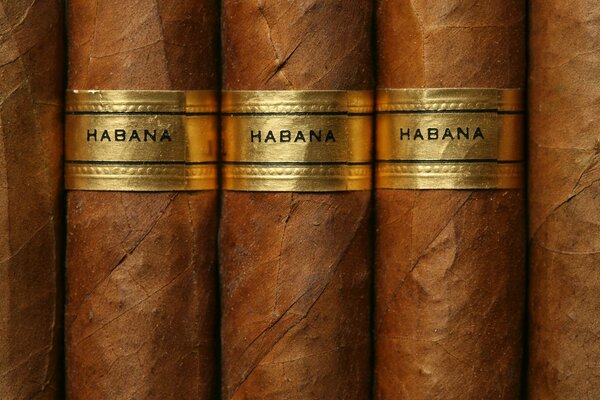Gros plan de cigares cubains bruns gold label