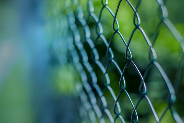 The fence grid is close. Macro photography