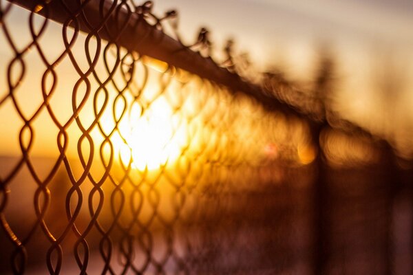 Fond d écran large , clôture au coucher du soleil