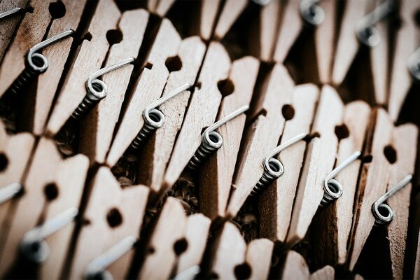 Pinzas de madera macro tiro