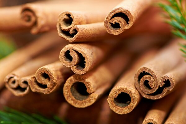 Spicy Cinnamon sticks macro