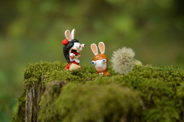 Rabbits swear on a mossy stump