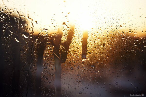 Rain splashes on the car window