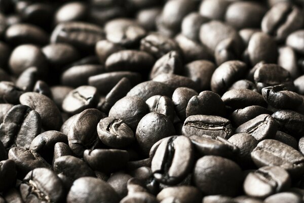 Macro di chicchi di caffè su sfondo sfocato di chicchi