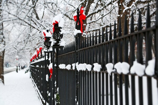 Bows on the fence for decoration for the holiday