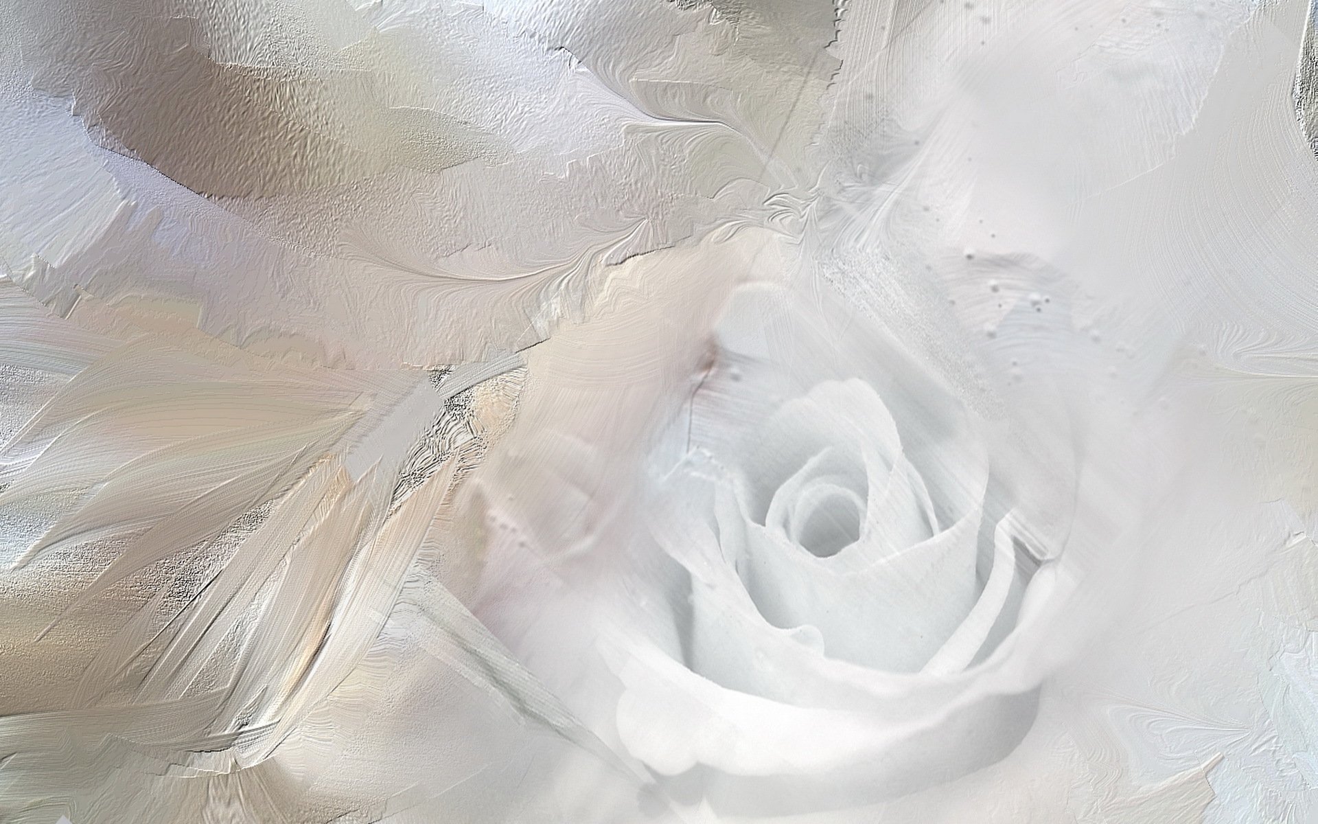 ice rose flowers abstract