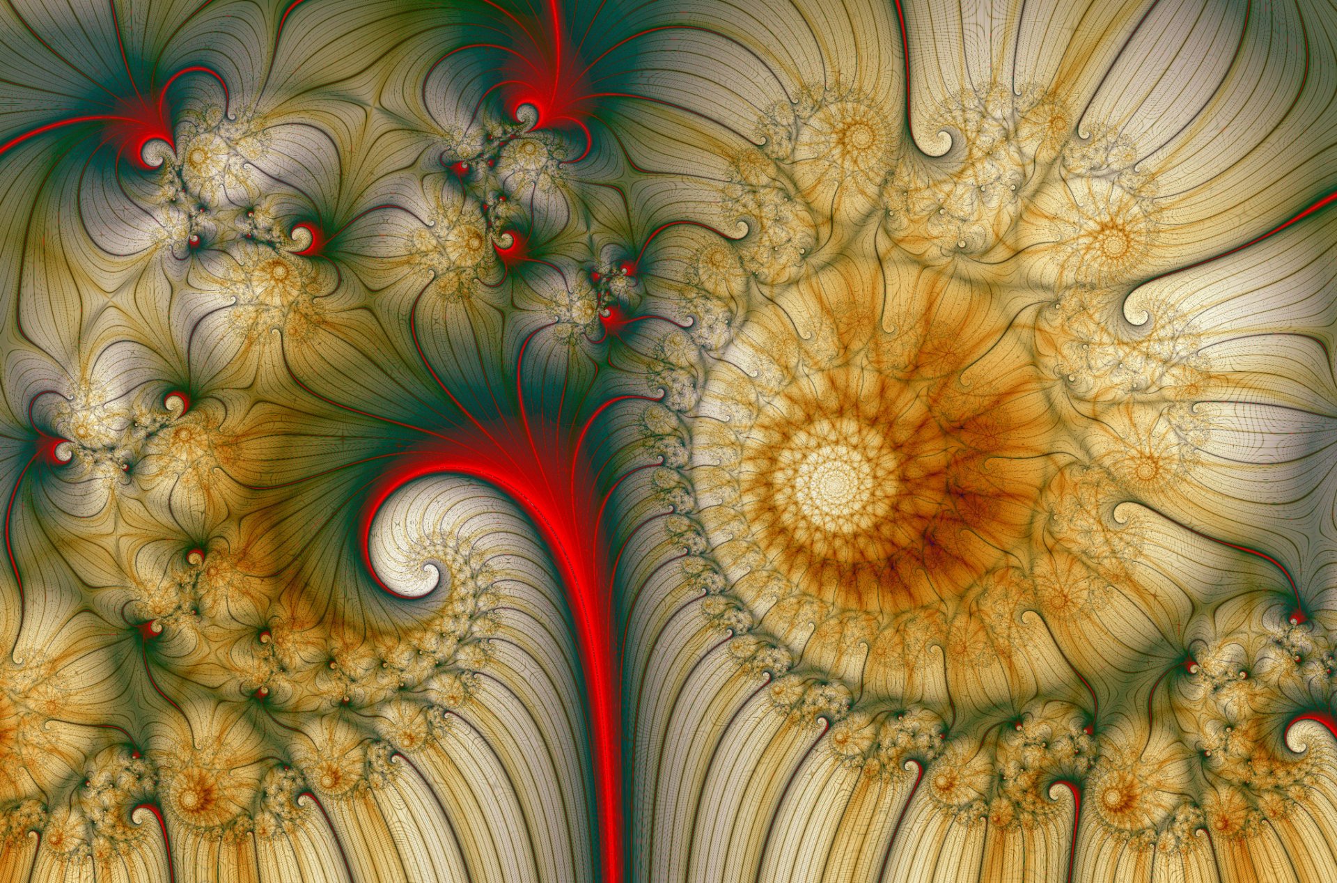 pattern fractal flowers spiral