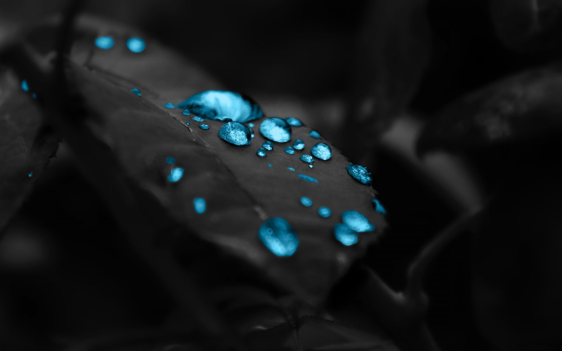 piece black background beautiful drop