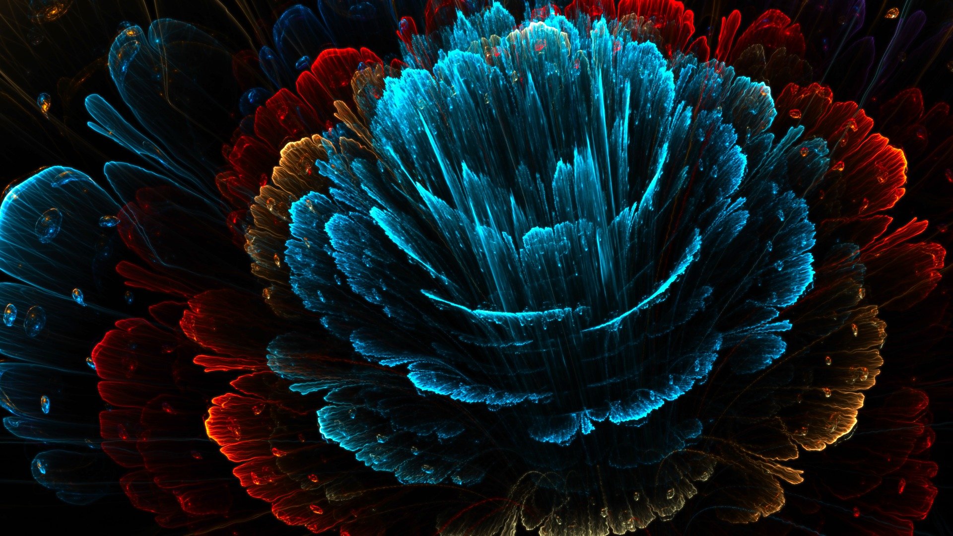 red blue flower petal