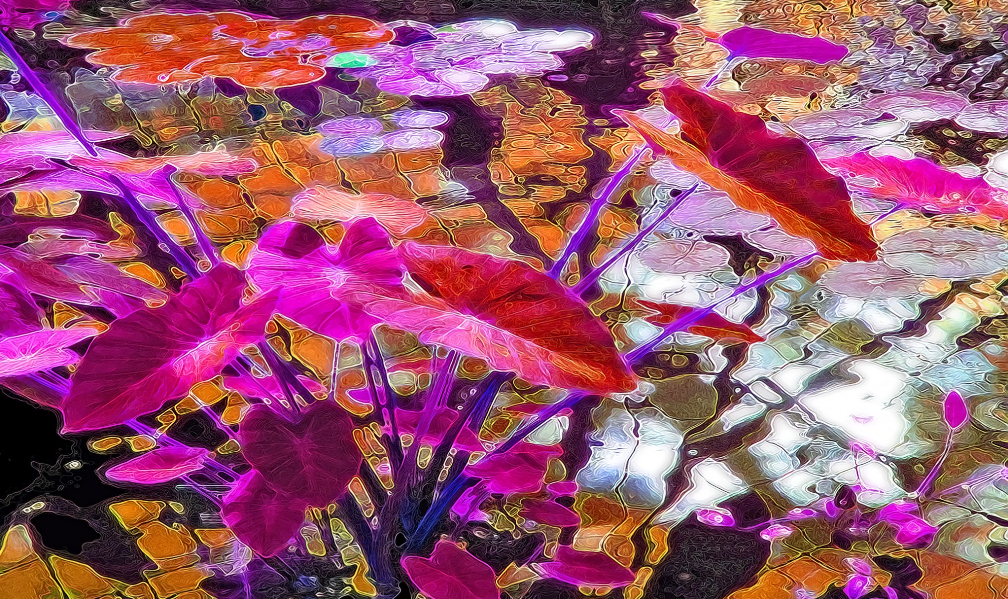 plan d eau feuilles couleur rendu dessin vecteur