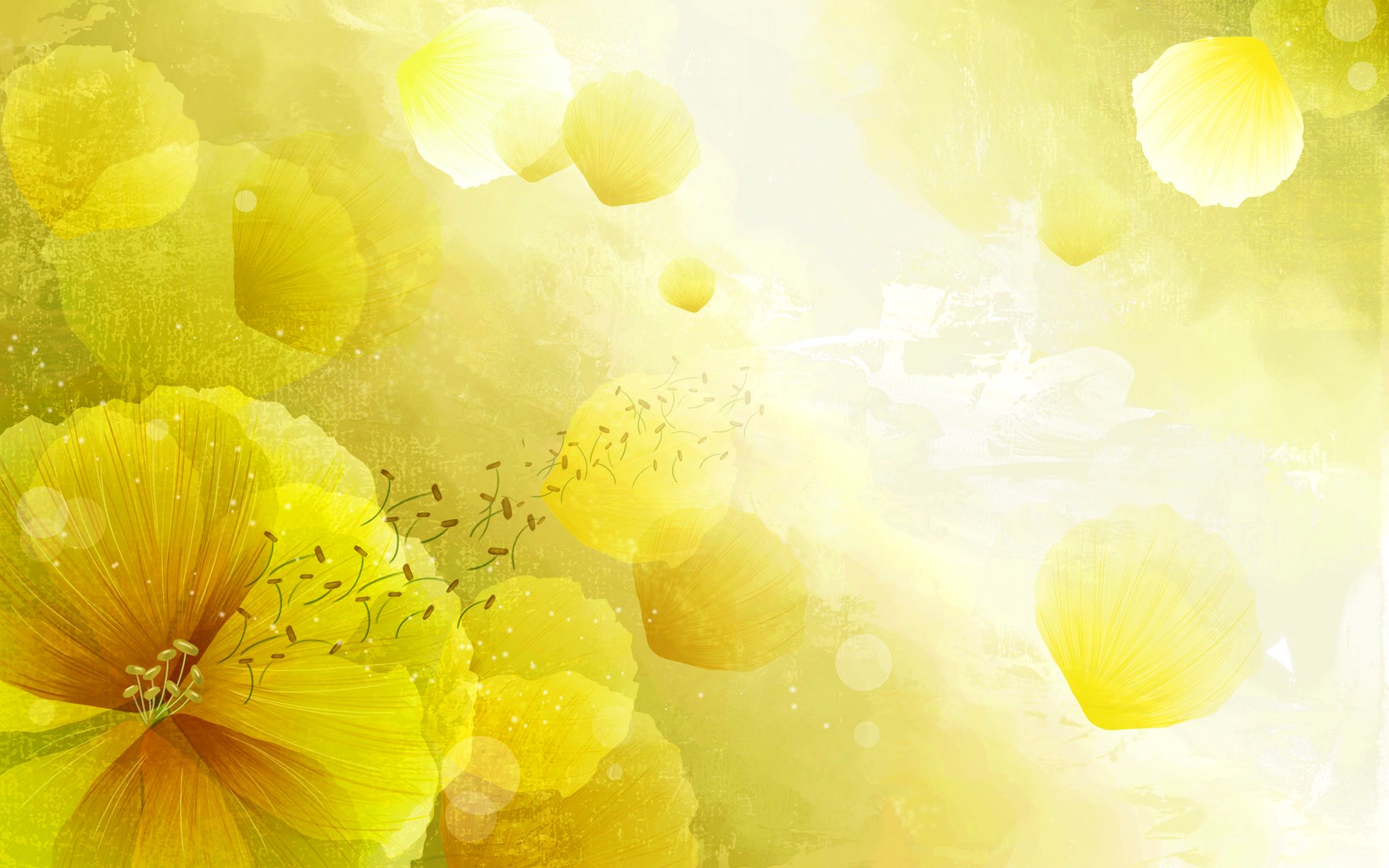 flower petals light vector nature