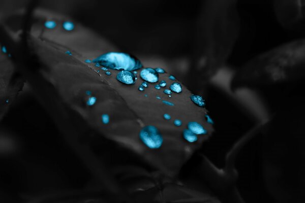 Blue drops are lying on the stone