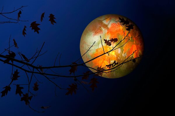 Autumn night. Full moon