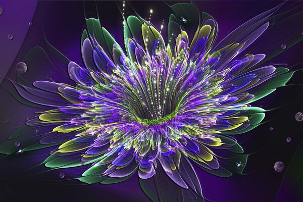 Gros plan de fleur panaché lumineux