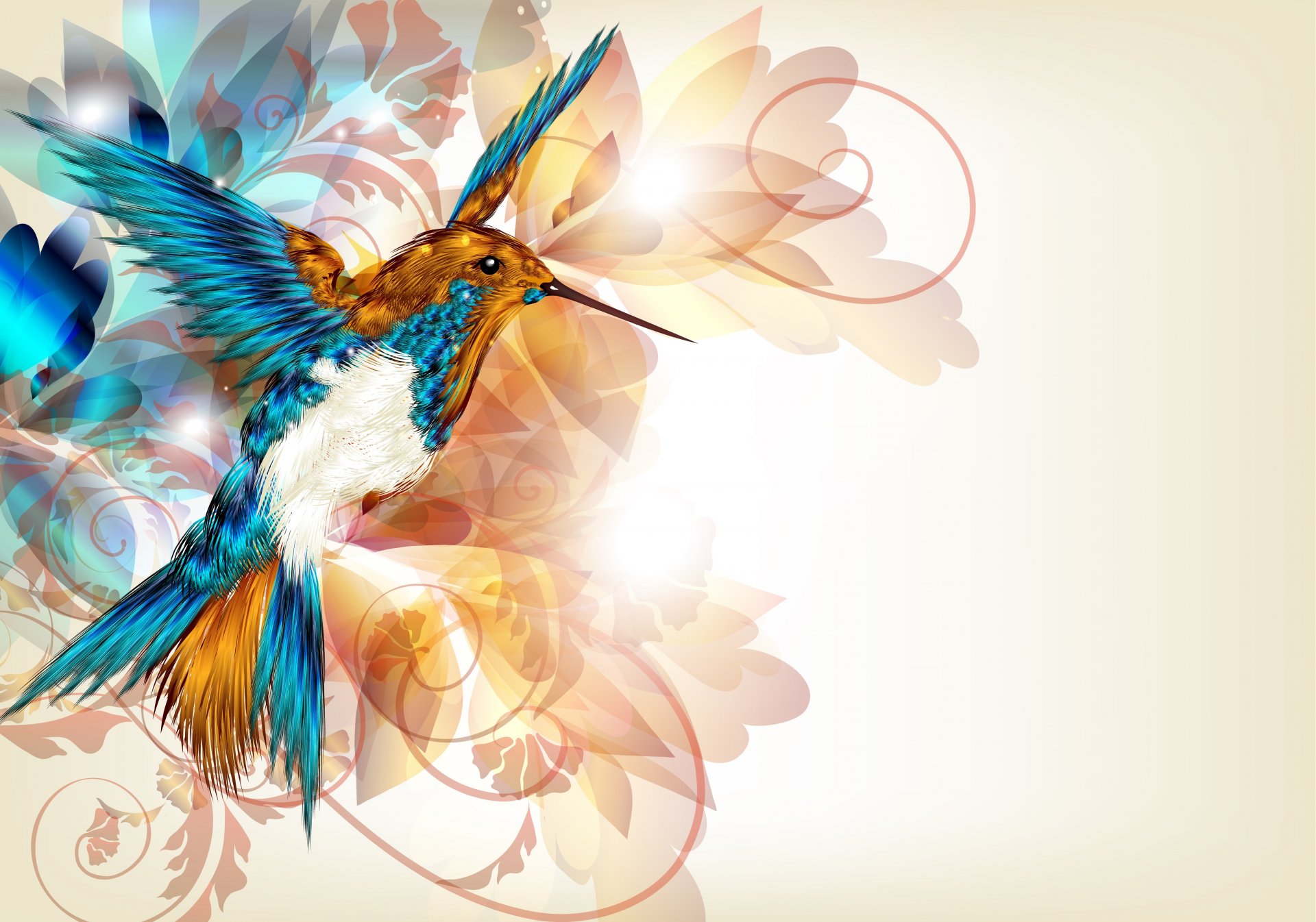 bird hummingbird wings beak vector abstract