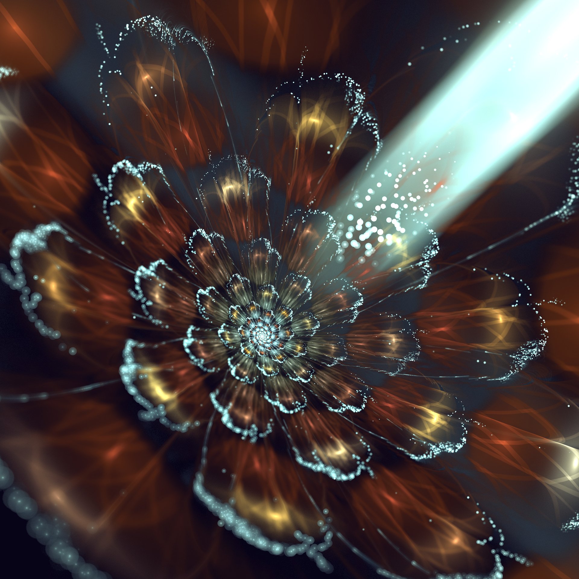 3d graphics fractal flower rays les light bokeh