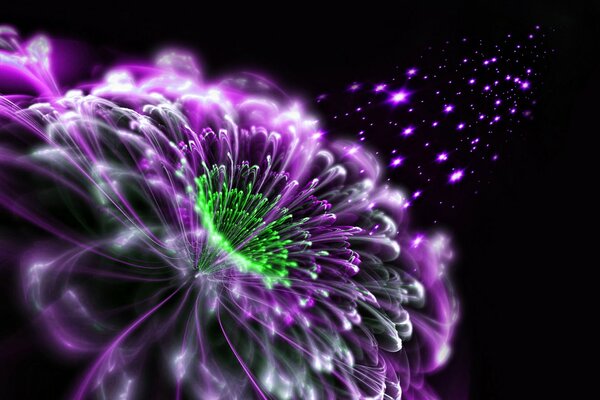 Abstraction de fleur violet-vert