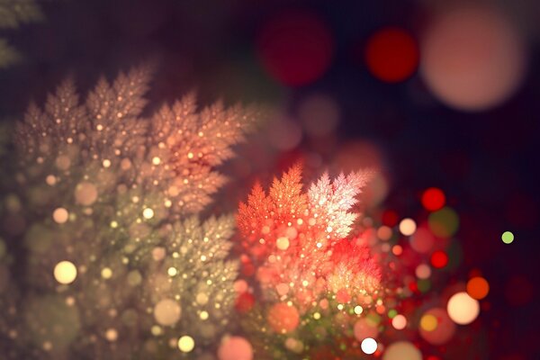 Branche d arbre de Noël à la lumière de bokeh