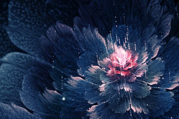Цветок с синими лепестками и розовой сердцевиной