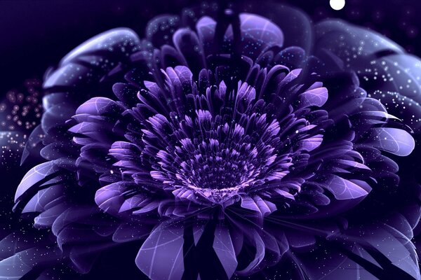 Flor púrpura sobre fondo oscuro