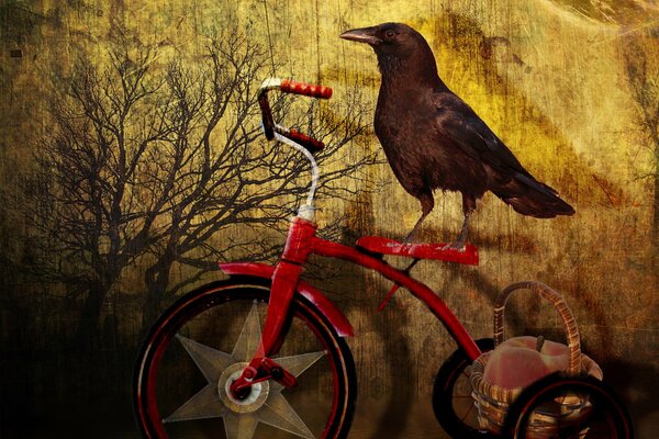 Against the background of a tree, a raven is sitting on a tricycle