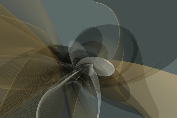 Abstract figure of lines and curves