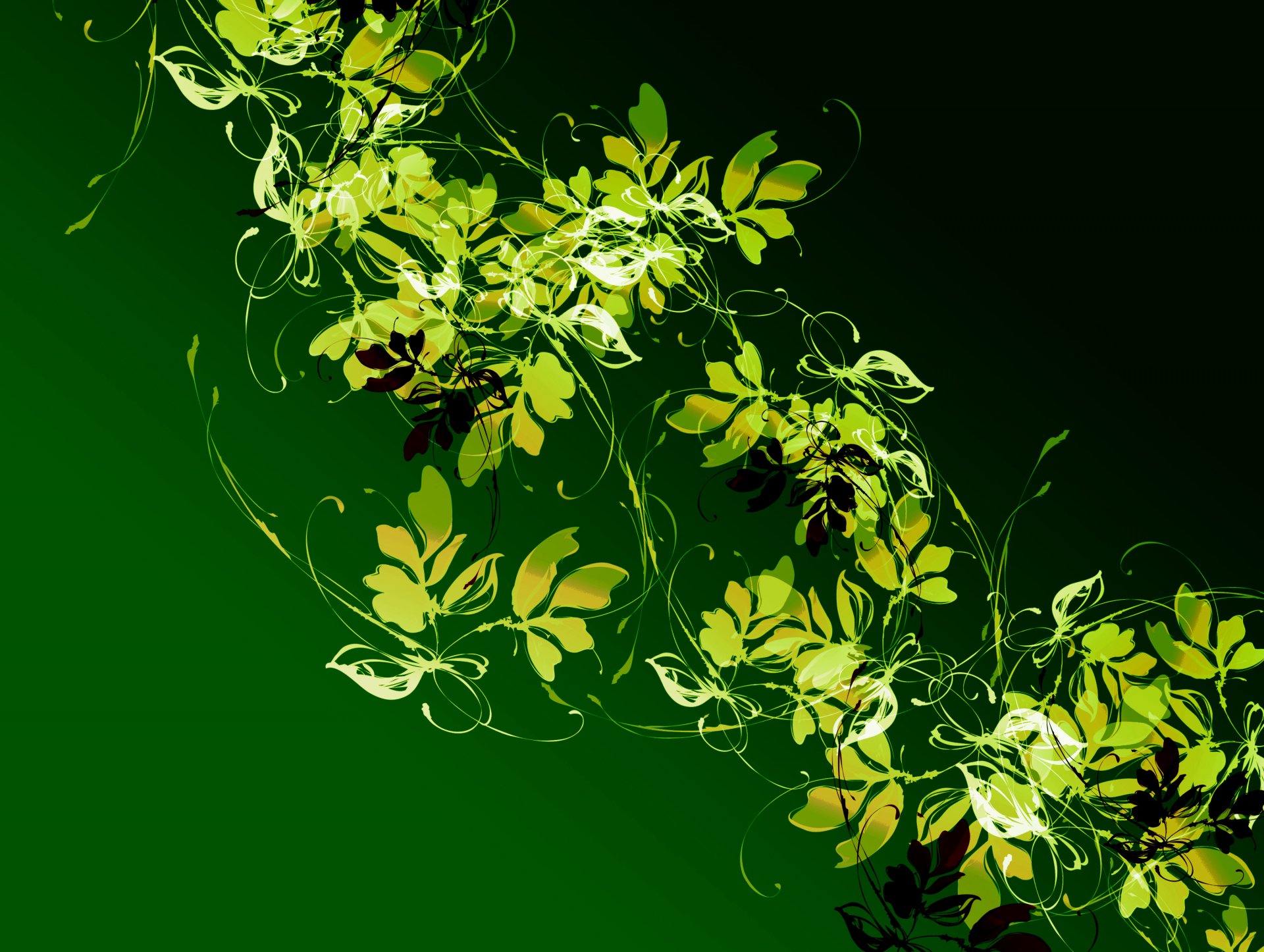 modèle plante liane feuilles lumière couleur contraste