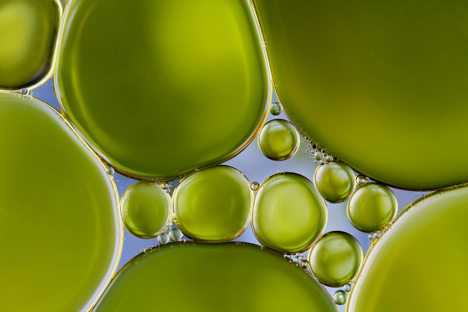 water bubbles bubbles pearly green